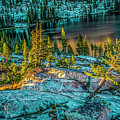 Evening Lights