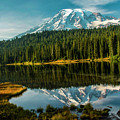 Reflections and a Tinge of Autumn