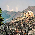 Sharing Rest Spot