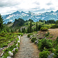 Trail to Serenity